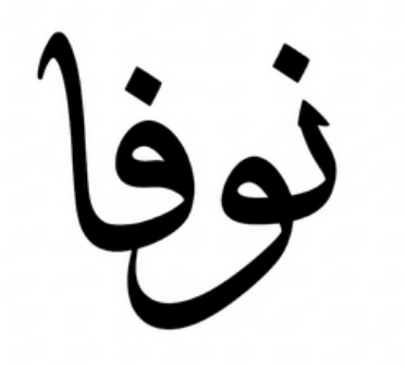 Logo Nova